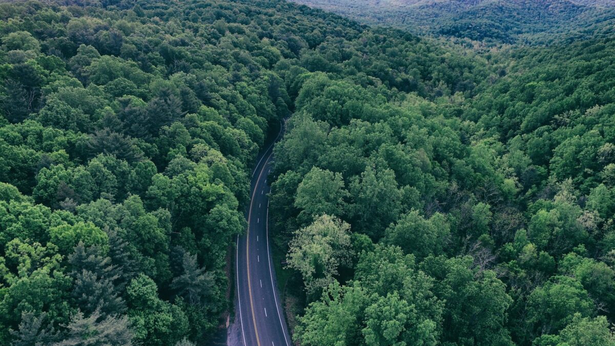 What is Virginia Known For? 22 Things VI is Famous For