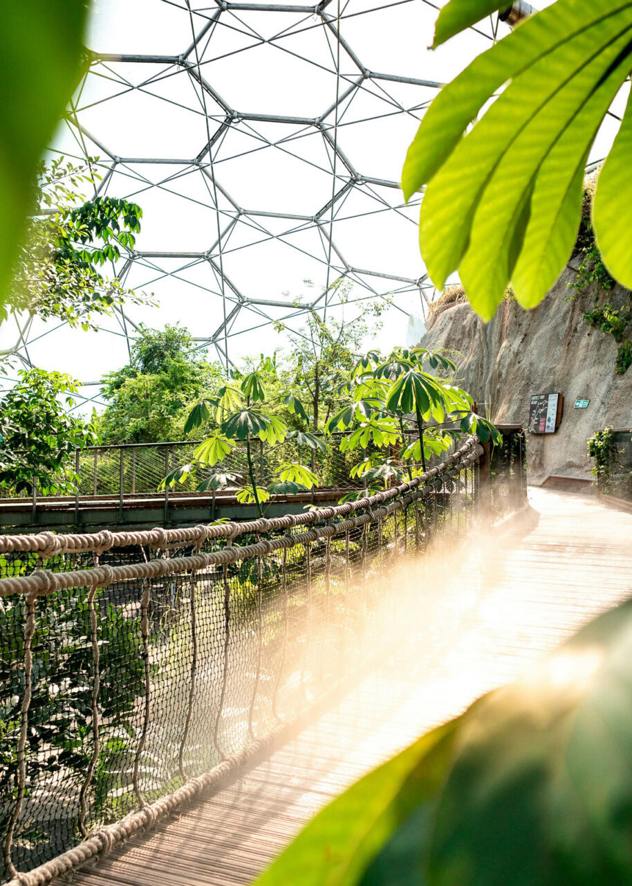 the-eden-project-914x1280-1